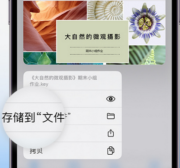 泰丰办事处apple维修中心分享iPhone文件应用中存储和找到下载文件