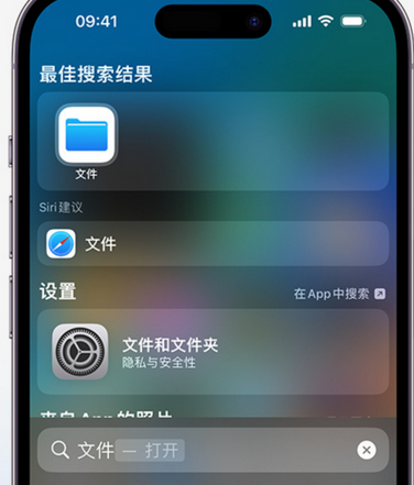 泰丰办事处apple维修中心分享iPhone文件应用中存储和找到下载文件 