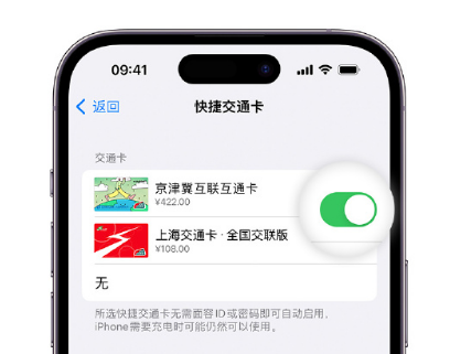 泰丰办事处apple维修点分享iPhone上更换Apple Pay快捷交通卡手绘卡面 