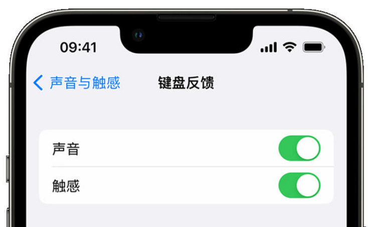 泰丰办事处苹果手机维修分享iPhone 14触感键盘使用方法 