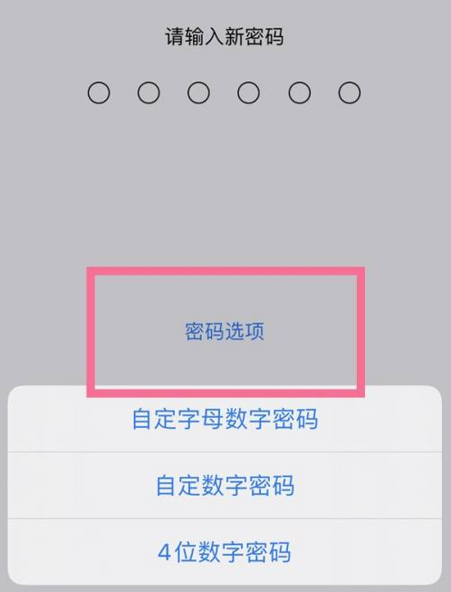 泰丰办事处苹果14维修分享iPhone 14plus设置密码的方法 