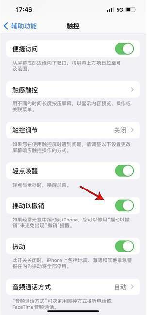 泰丰办事处苹果手机维修分享iPhone手机如何设置摇一摇删除文字 