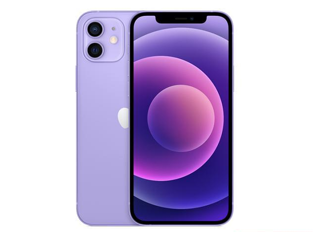 泰丰办事处苹果手机维修分享现阶段要不要入手紫色版iPhone12 
